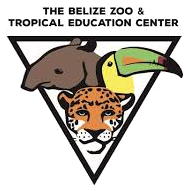 The Belize Zoo